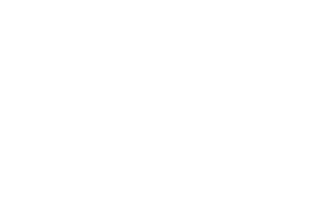 AG Consultoria – Aline Godoy Gestão de Negócios
